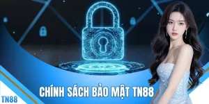 Chính Sách Bảo Mật TN88 - 4 Quy Tắc Bảo Vệ Dữ Liệu Cá Nhân