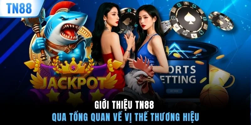 Giới thiệu TN88 qua tổng quan về vị thế thương hiệu